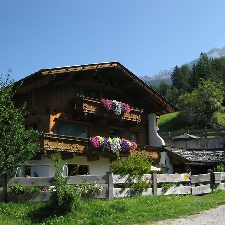 Haus Gamskogl Διαμέρισμα Neustift im Stubaital Εξωτερικό φωτογραφία