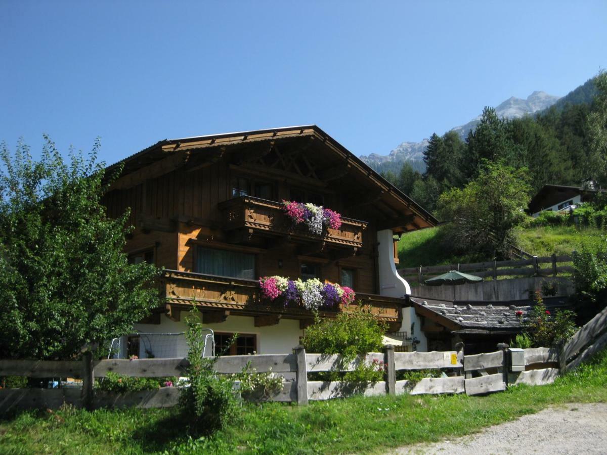 Haus Gamskogl Διαμέρισμα Neustift im Stubaital Εξωτερικό φωτογραφία