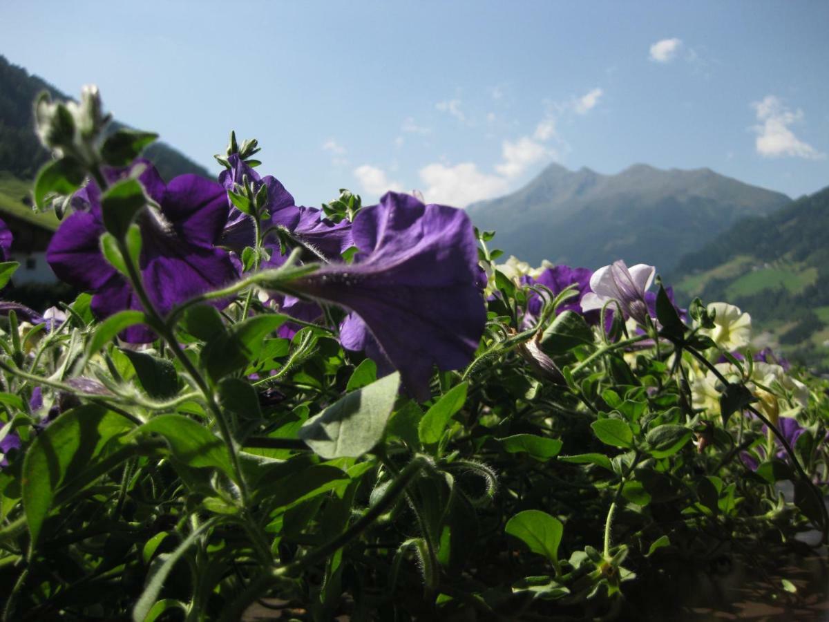 Haus Gamskogl Διαμέρισμα Neustift im Stubaital Εξωτερικό φωτογραφία