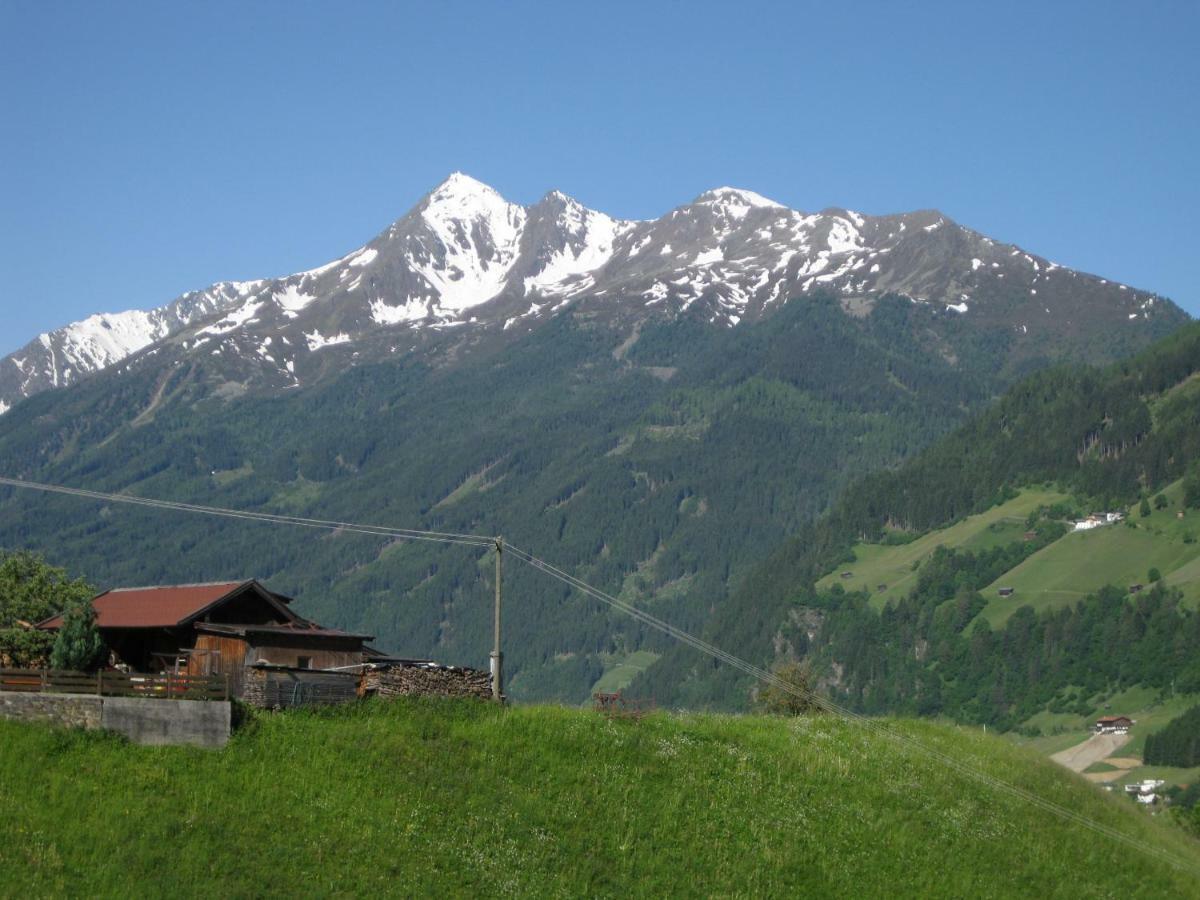 Haus Gamskogl Διαμέρισμα Neustift im Stubaital Εξωτερικό φωτογραφία